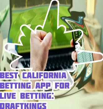 Best app for nfl betting