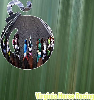 Online horse betting